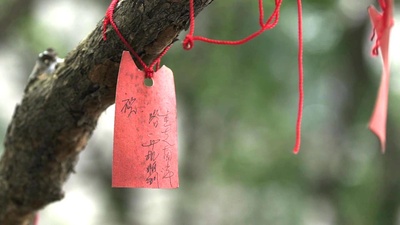 自梳女剧照的剧照