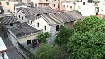 自梳女剧照的剧照