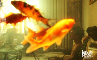 闯入者剧照的剧照