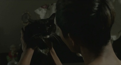 闯入者剧照的剧照