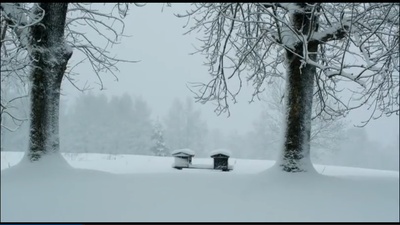 当我们17岁剧照的剧照