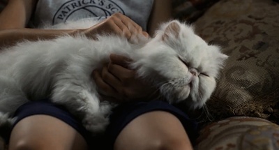 圣人文森特剧照的剧照