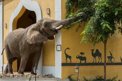 动物园长的夫人剧照的剧照