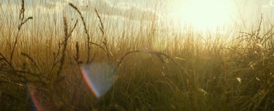 赴汤蹈火剧照的剧照