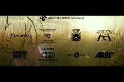 赴汤蹈火剧照的剧照