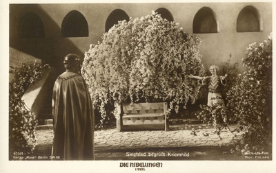 尼伯龙根：西格弗里德之死剧照的剧照