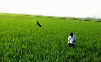 关于莉莉周的一切剧照的剧照