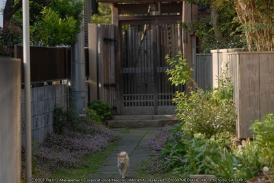 真木栗之穴剧照的剧照