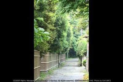 真木栗之穴剧照的剧照