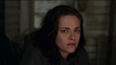 比利·林恩的中场战事剧照的剧照