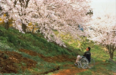 花火剧照的剧照