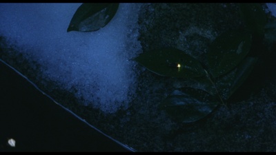 花火剧照的剧照