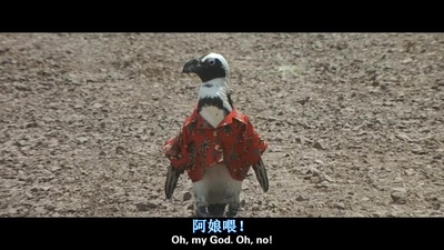 初恋50次剧照的剧照