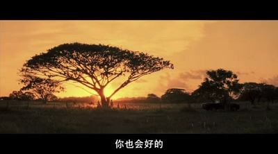 初恋50次剧照的剧照