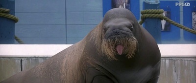 初恋50次剧照的剧照