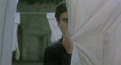 鹅毛笔剧照的剧照