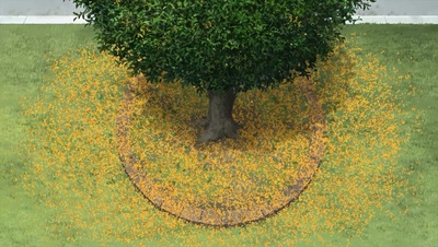 意外的幸运签剧照的剧照