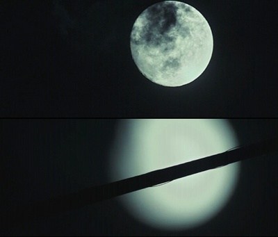 天伦之旅剧照的剧照