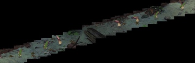 借东西的小人阿莉埃蒂剧照的剧照