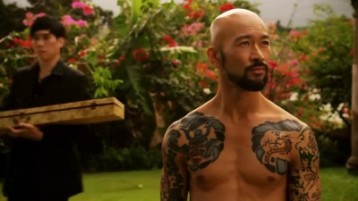 猎鹰突起剧照的剧照