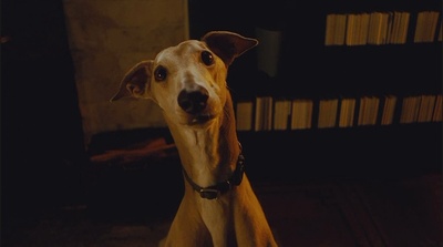 抗癌的我剧照的剧照