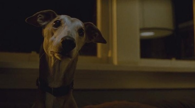 抗癌的我剧照的剧照