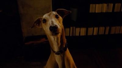 抗癌的我剧照的剧照