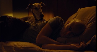 抗癌的我剧照的剧照