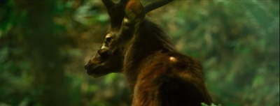 赛德克·巴莱(上)：太阳旗剧照的剧照