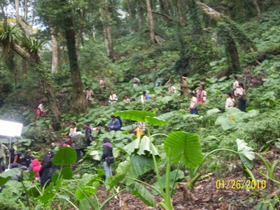 赛德克·巴莱(上)：太阳旗剧照的剧照