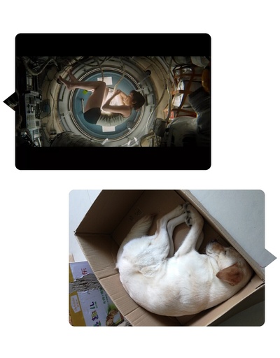 地心引力剧照的剧照