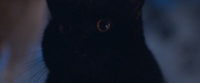 安全邻域剧照的剧照