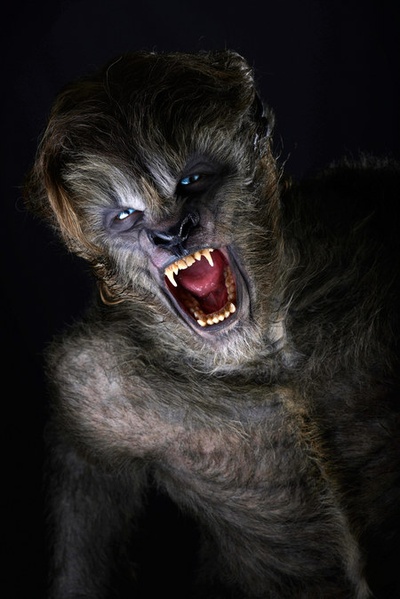 狼人镇剧照的剧照