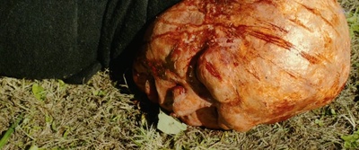 恶魔蛙男剧照的剧照