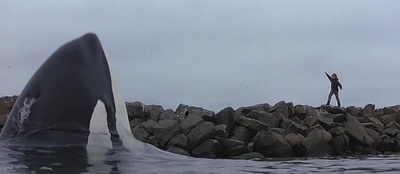 人鱼童话剧照的剧照