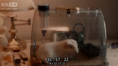 水牛城66剧照的剧照