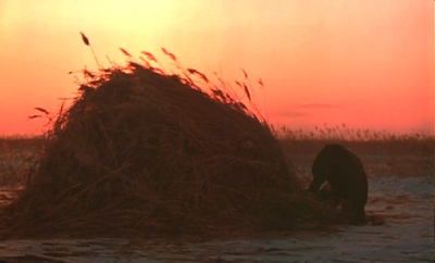 德尔苏·乌扎拉剧照的剧照