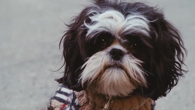 纽约，我爱你剧照的剧照