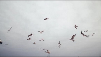 纽约，我爱你剧照的剧照