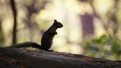 纽约，我爱你剧照的剧照