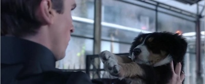 撕裂的末日剧照的剧照