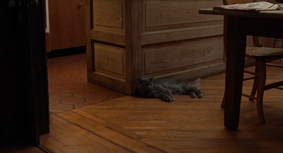 鱿鱼和鲸剧照的剧照