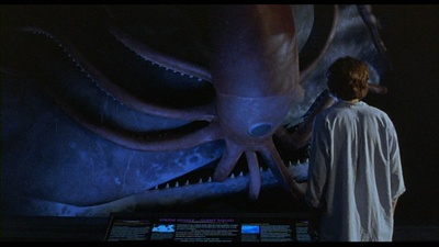 鱿鱼和鲸剧照的剧照