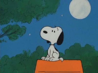 你是个好人，查理·布朗剧照的剧照