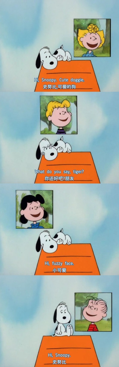 你是个好人，查理·布朗剧照的剧照