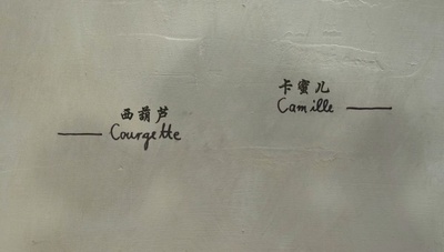 西葫芦的生活剧照的剧照