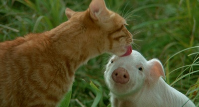 小猫的故事剧照的剧照