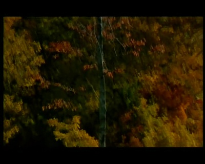 小猫的故事剧照的剧照