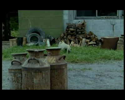 小猫的故事剧照的剧照