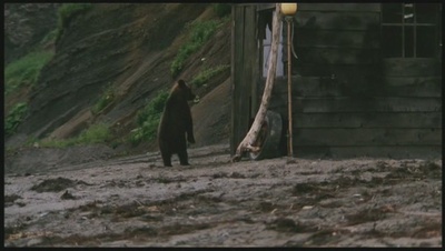 小猫的故事剧照的剧照